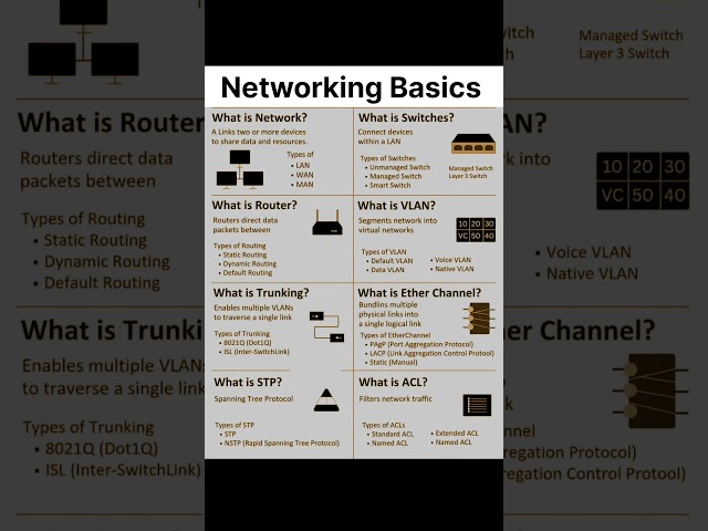 Networking Basics