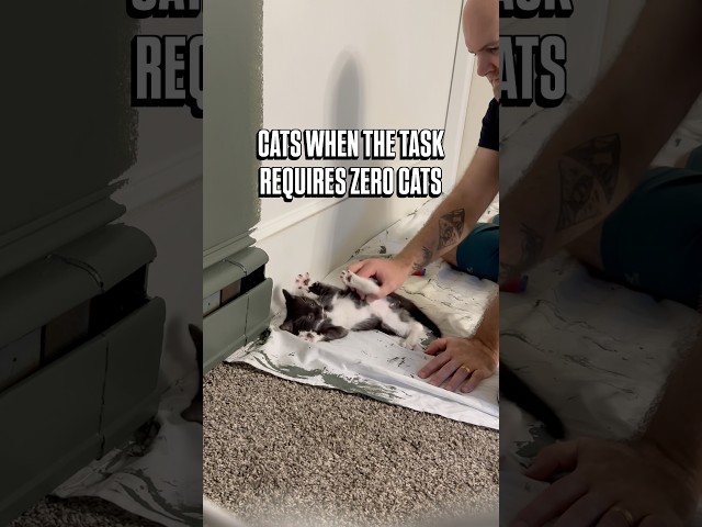 My new coworker is NOT helping