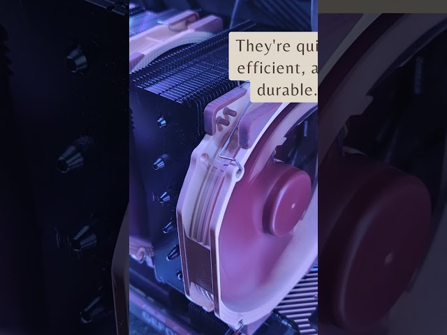 Noctua Fans - Best in the World #pcbuilding