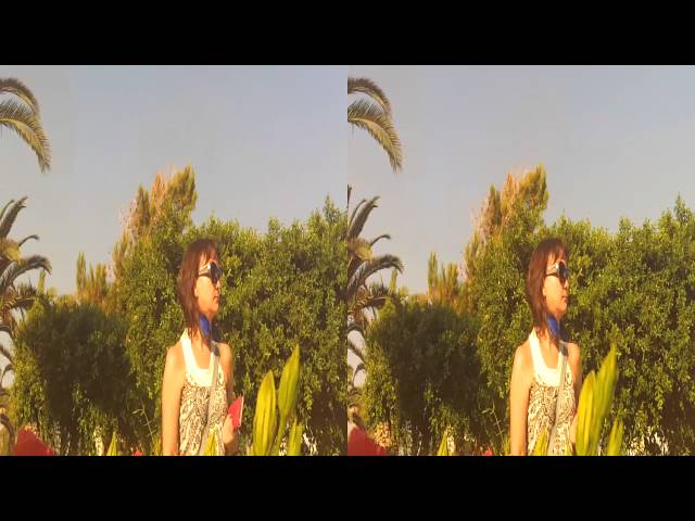 3D flowers and cicadas in Hersonissos, Crete, Greece