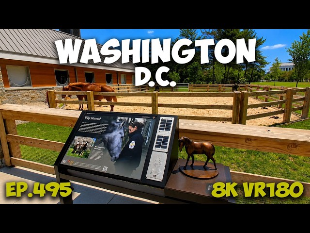 Ep.495 Washington DC – Living Tradition: Park Police Horse Stables 8K VR180 3D