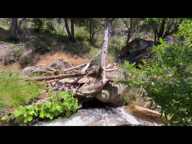 Lewis Creek trail in Madera County | VR 3D experience
