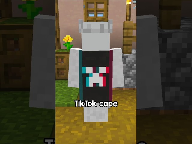 How To Get Every Minecraft Cape (Part 5)