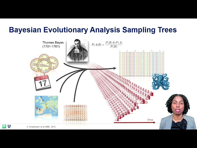 Phylodynamics 101: Bayesian Analysis Molecular Sequences