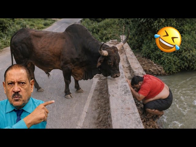 Try Not to Laugh Challenge #11 🤣 Best Fails of the Week