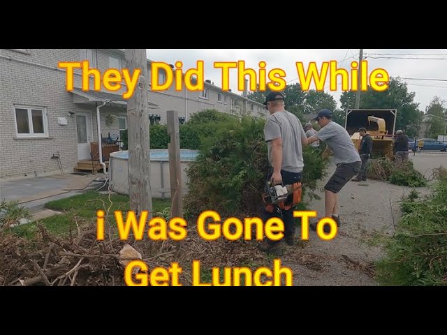 Watch How We Transformed This Yard in Just 20 Minutes!