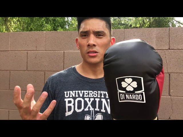 DINARDO Pro Fight Boxing Glove REVIEW