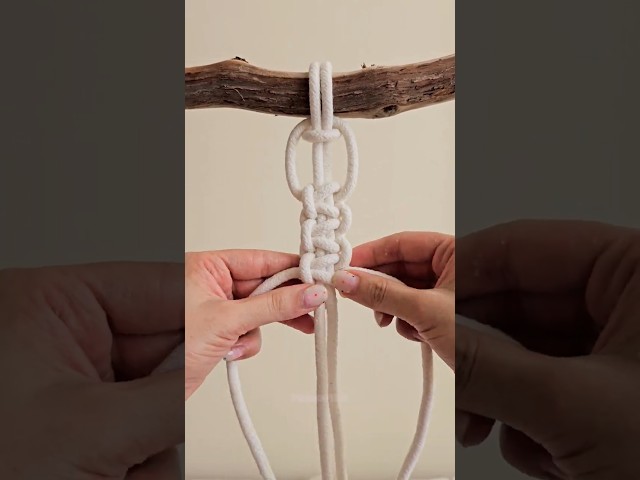 Continue Square Knot #macrame #macrametutorial #squareknot  #macrameforbeginners #shorts#knot #diy
