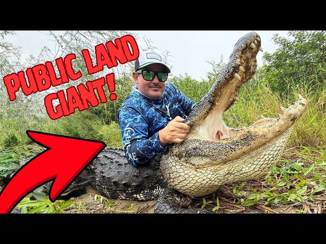 MONSTER GATOR Captured On PUBLIC LAND!
