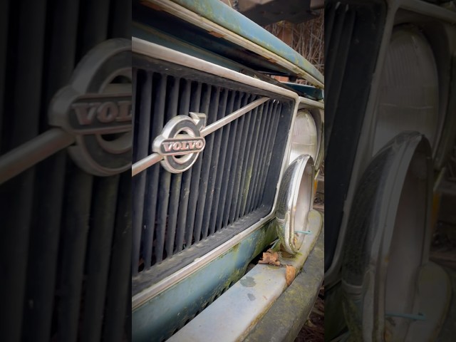 Can we save this abandoned Volvo 144? Merry Christmas everyone!