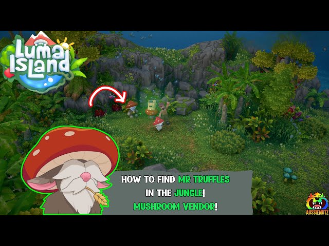 How to find Mr Truffles mushroom vendor The Jungle #lumaisland