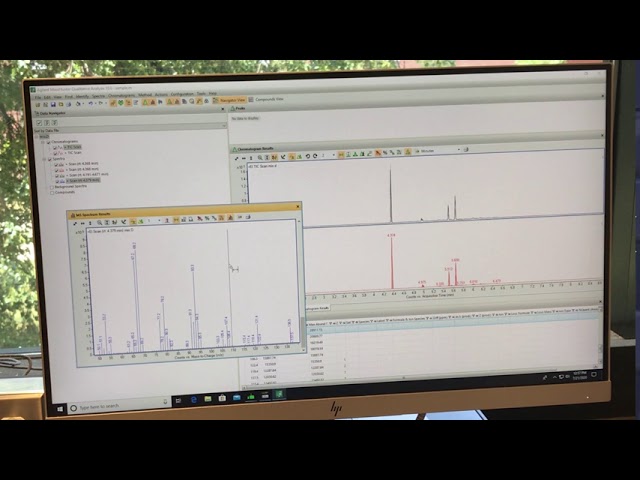 GC MS Data Analysis