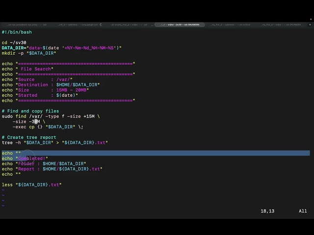 Demo: Shell Script (Shebang is command)