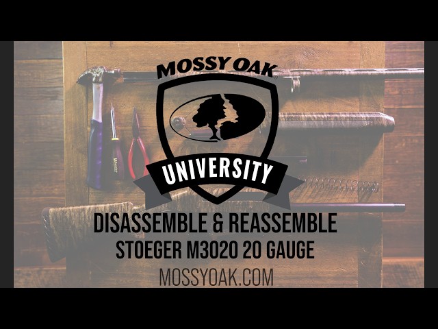 Stoeger M3020 20 Gauge Breakdown Guide