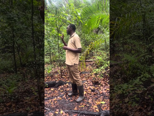 3. Our Guide