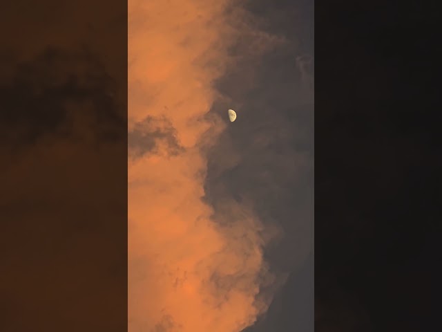 PDS mammatus intercept near Cope, #Colorado with Ryan Shepard #stormchasing #weather #weathertok
