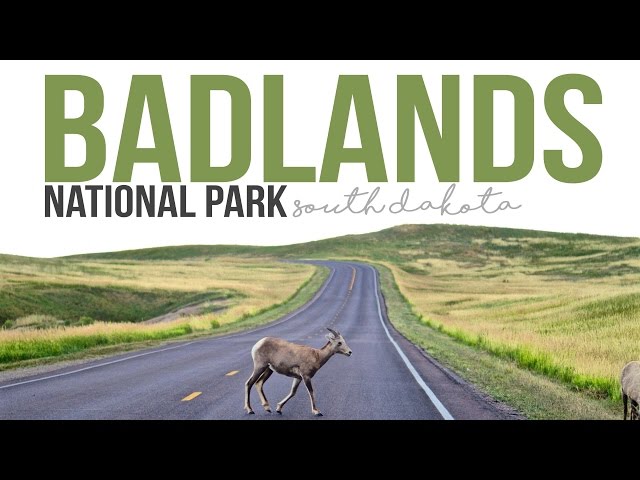 Exploring Badlands National Park - a Drivin' & Vibin' Travel Vlog
