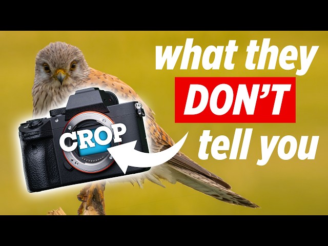 Crop vs Full Frame Sensor - Watch Before You Buy!