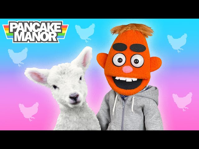 Take a Trip to the Children's Farm with Pancake Manor! 🐴
