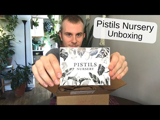 Rare Houseplant Unboxing | Pistils Nursery