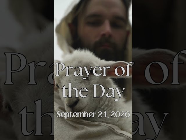 Prayer of the Day | September 24, 2026 #prayer #dailyprayer #jesuslovesyou