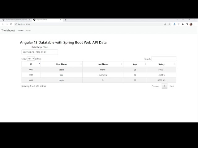 Angular 13 Datatable with Spring Boot Web API Data