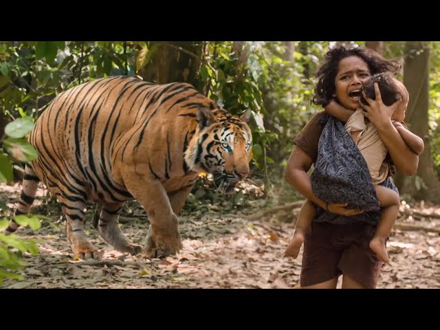 Tollywood Biggest Blockbuster Tiger Attack Scene || Mohanlal || Kotha Cinema