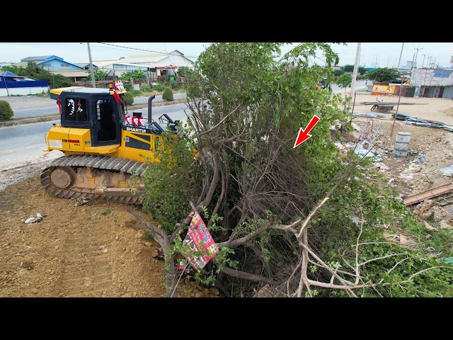 Amazing work Bulldozer Shantui Clearing the forest will clean up the habitat of the python.