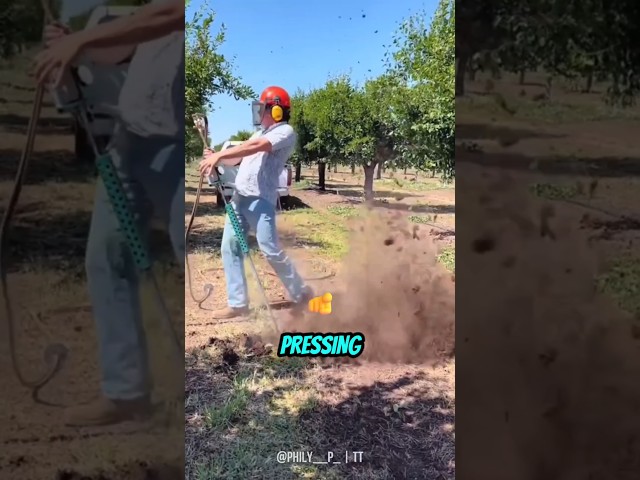 how to kill rats