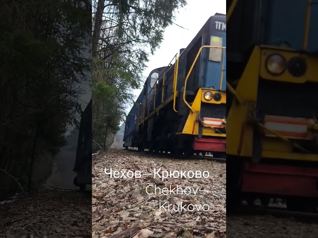 Тепловоз ТГМ4 на подъездном пути Чехов — Крюково 2023-04