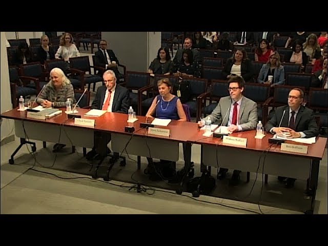 Commission Meeting: Public Hearing: Agenda and Priorities for FY 2018 and/or 2019