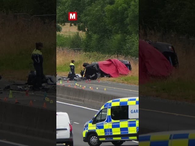 Justice Minister insists teen car crime is ‘NOT A CRISIS’ after five die in horrific M9 crash
