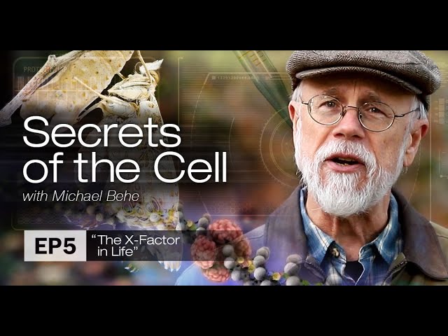 The X Factor in Life (Secrets of the Cell with Michael Behe, Ep  5)