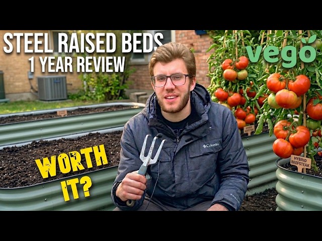 Are Metal Raised Garden Beds Worth It? (1 Year Honest Review)
