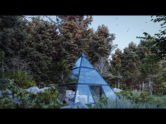Pyramid forest 🌲🏡🌳