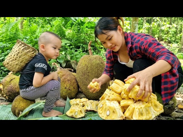 The quest for food in the wild – a single mother's journey