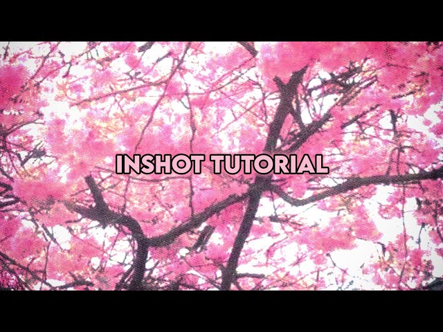 Inshot tutorial