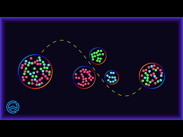 Sampling Bias: Why Stratification Matters