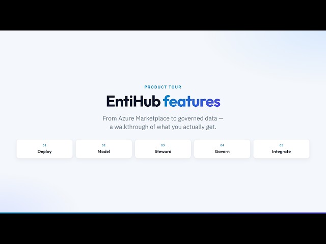 EntiHub Features Walkthrough | Governed master data on Azure Marketplace