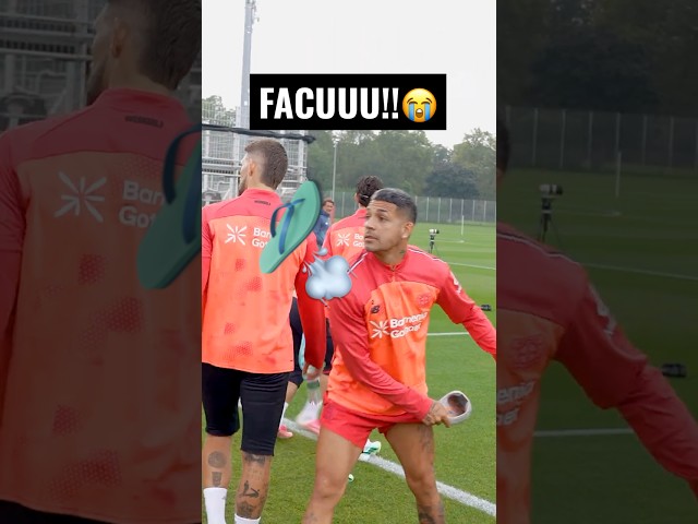 Absolute chaos! 😂😭