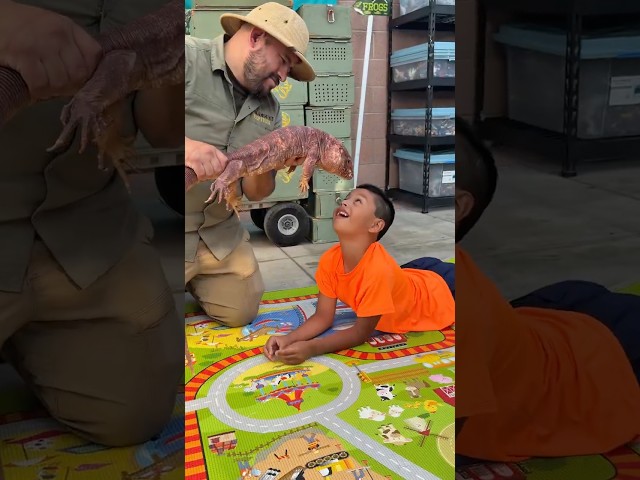 Jeremy vs A Giant Lizard!!           #shorts #shortvideo #kids