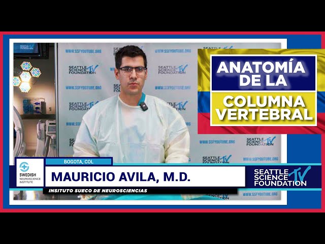 Anatomia de la Columna Vertebral - Mauricio Avila, M.D.