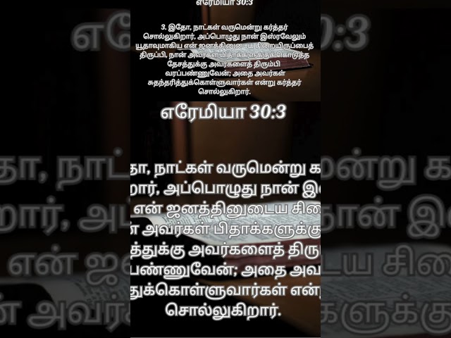 Jeremiah Bible Reading Tamil