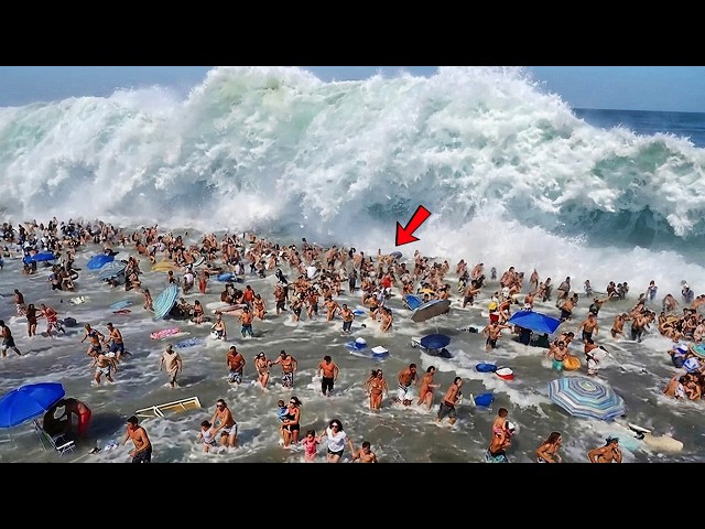 One in a Billion Moments in Nature Caught on Camera | New Update #08