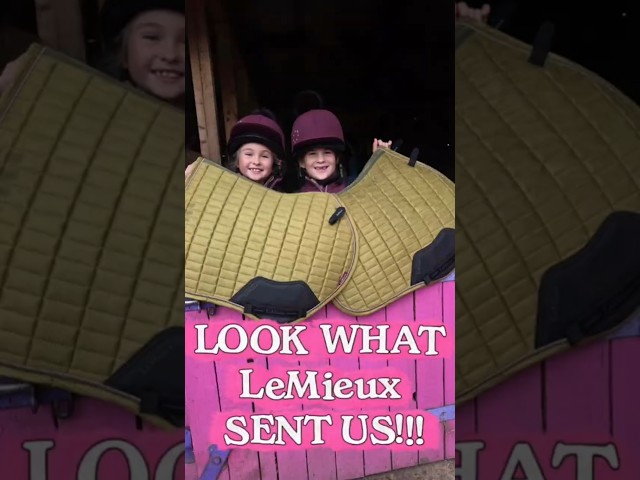 WOW LeMieux PR Parcel #unboxing #lemieux #equestrianjourney #twins