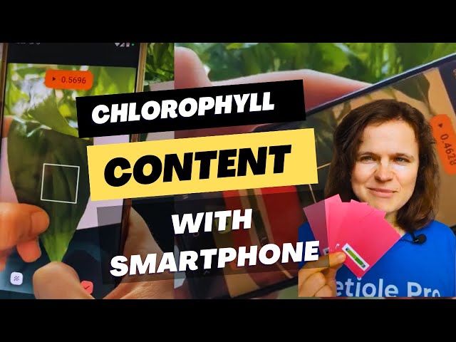 How to Measure Chlorophyll Content in a Leaf and Plant Health with Smartphone?
