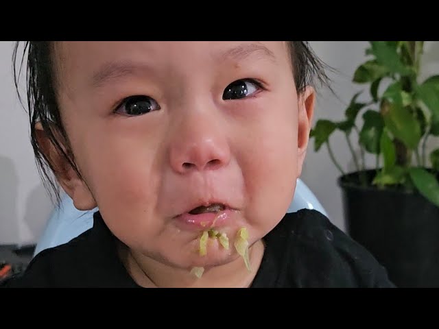 Tuna, avocado & seaweed rice balls with cabbage & mandarins | BLW Journey - 12 months old