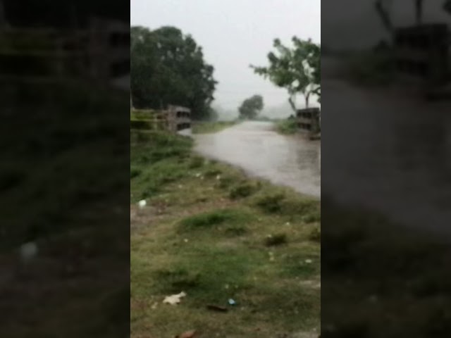 Bristi veja sondhay