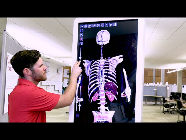 Anatomage Table - Eccles Health Sciences Library 50th Anniversary