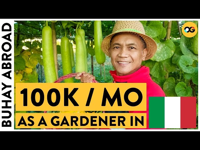 This OFW Rents Land in Italy and Earns P100K Selling Vegetables | Buhay Abroad | OG